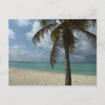 Aruban Beach I Beautiful Nature Scene Postcard