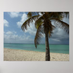 Aruban Beach I Beautiful Nature Scene Poster