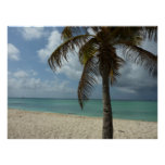 Aruban Beach I Beautiful Nature Scene Poster