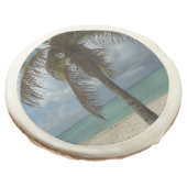 Aruban Beach I Beautiful Nature Scene Sugar Cookie (Angled)