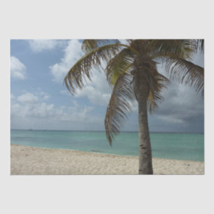 Aruban Beach I Beautiful Nature Scene Tissue Paper