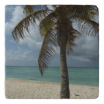 Aruban Beach I Beautiful Nature Scene Trivet