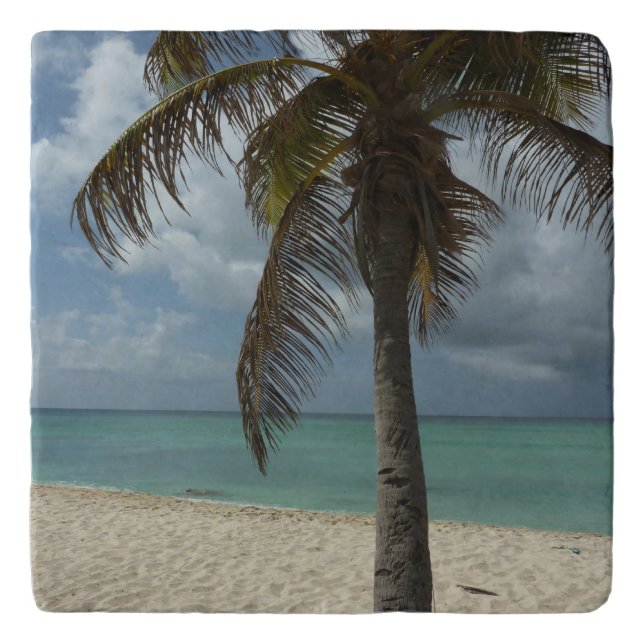 Aruban Beach I Beautiful Nature Scene Trivet (Front)
