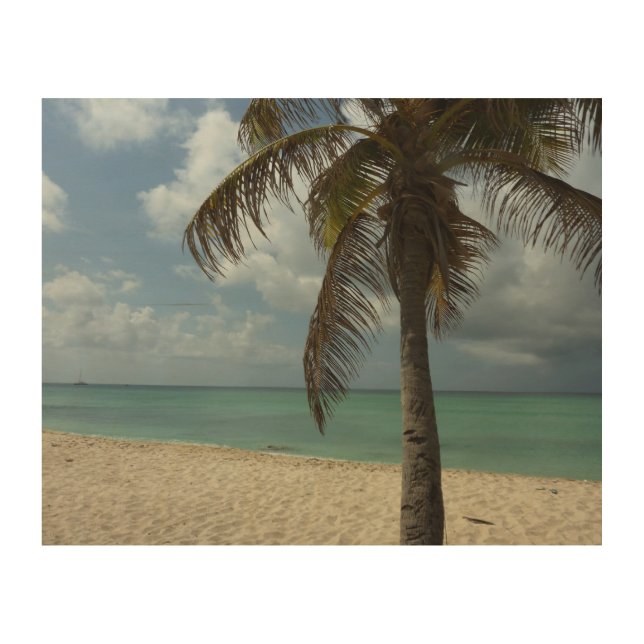 Aruban Beach I Beautiful Nature Scene Wood Wall Art (Front)