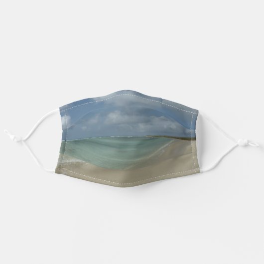 Aruban Beach II Beautiful Nature Scene Adult Cloth Face Mask (Front, Unfolded)