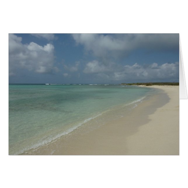 Aruban Beach II Beautiful Nature Scene Cards (Front Horizontal)