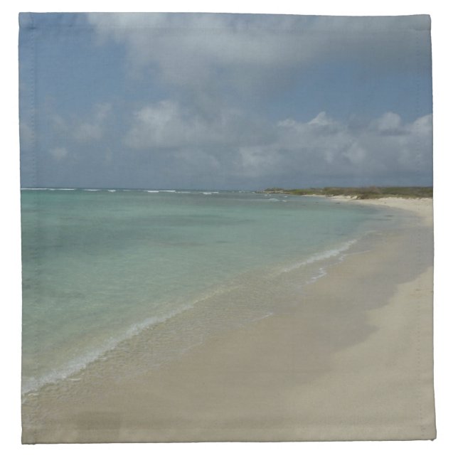 Aruban Beach II Beautiful Nature Scene Cloth Napkin (Front)
