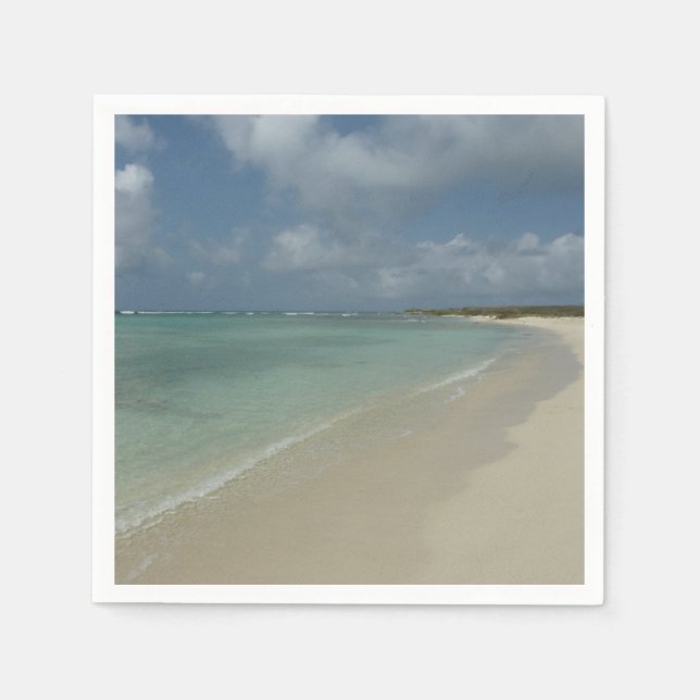 Aruban Beach II Beautiful Nature Scene Napkins (Front)