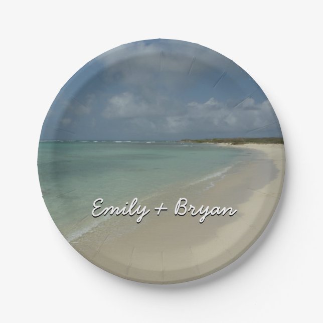Aruban Beach II Beautiful Nature Scene Paper Plates (Front)