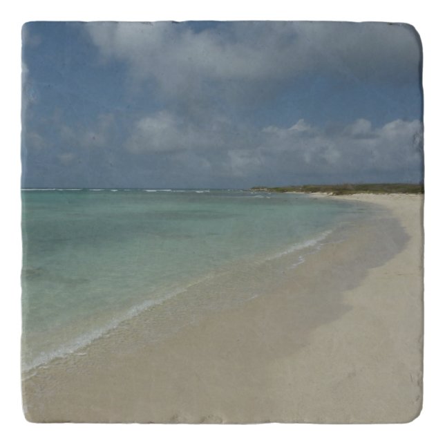 Aruban Beach II Beautiful Nature Scene Trivet (Front)
