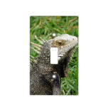 Aruban Lizard Light Switch Cover