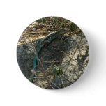 Aruban Whiptail Lizard Tropical Animal Photography Button