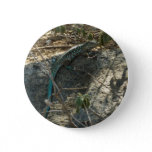 Aruban Whiptail Lizard Tropical Animal Photography Button