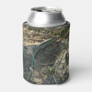 Aruban Whiptail Lizard Tropical Animal Photography Can Cooler