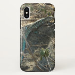 Aruban Whiptail Lizard Tropical Animal Photography iPhone X Case