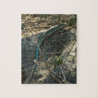 Aruban Whiptail Lizard Tropical Animal Photography Jigsaw Puzzle