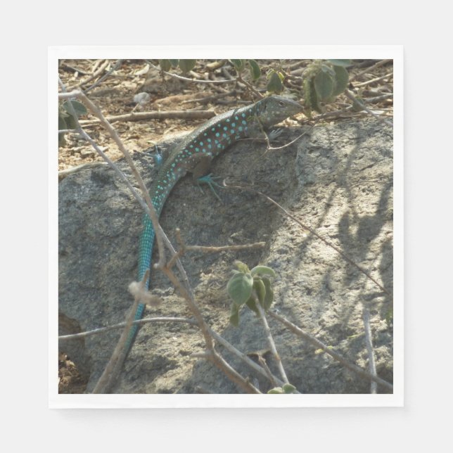 Aruban Whiptail Lizard Tropical Animal Photography Napkins (Front)