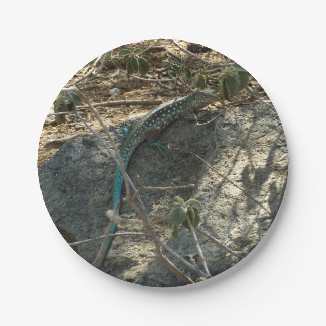 Aruban Whiptail Lizard Tropical Animal Photography Paper Plates (Front)