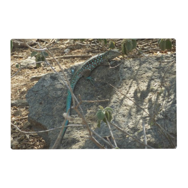 Aruban Whiptail Lizard Tropical Animal Photography Placemat (Front)