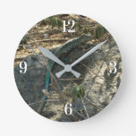 Aruban Whiptail Lizard Tropical Animal Photography Round Clock