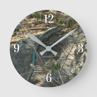 Aruban Whiptail Lizard Tropical Animal Photography Round Clock