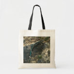 Aruban Whiptail Lizard Tropical Animal Photography Tote Bag
