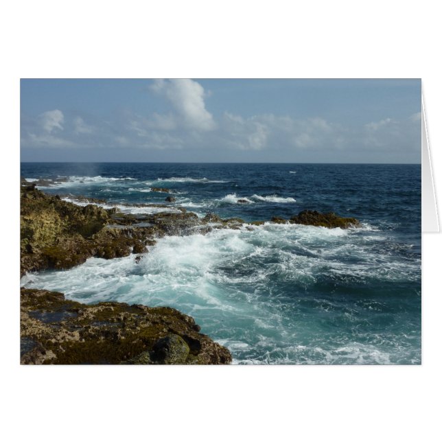 Aruba's Rocky Coast and Blue Ocean (Front Horizontal)