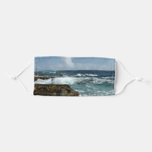 Aruba's Rocky Coast and Blue Ocean Adult Cloth Face Mask (Front, Folded)