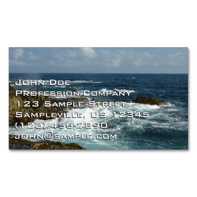Aruba's Rocky Coast and Blue Ocean Business Card Magnet (Front)