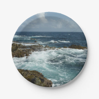 Aruba's Rocky Coast and Blue Ocean Paper Plates
