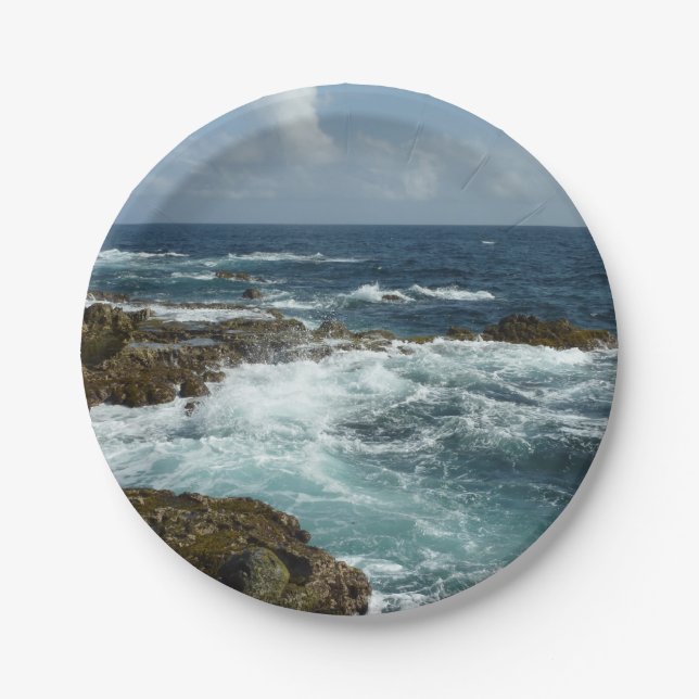 Aruba's Rocky Coast and Blue Ocean Paper Plates (Front)