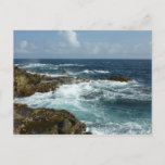 Aruba's Rocky Coast and Blue Ocean Postcard