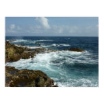 Aruba's Rocky Coast and Blue Ocean Poster