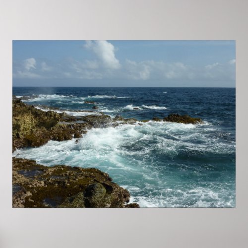 Arubas Rocky Coast and Blue Ocean Poster
