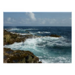 Aruba's Rocky Coast and Blue Ocean Poster