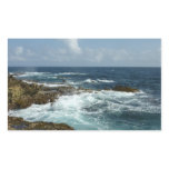 Aruba's Rocky Coast and Blue Ocean Rectangular Sticker