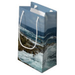 Aruba's Rocky Coast and Blue Ocean Small Gift Bag