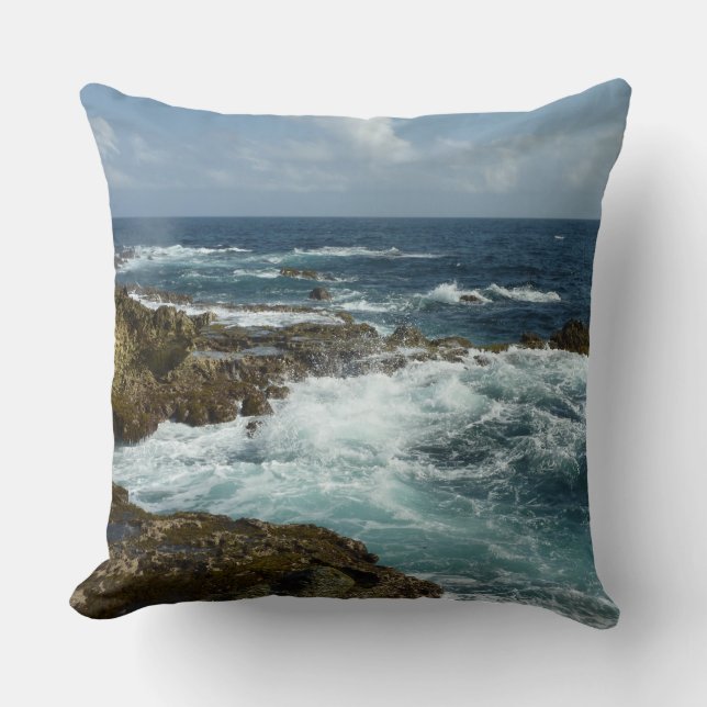 Aruba's Rocky Coast and Blue Ocean Throw Pillow (Front)