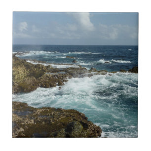 Aruba's Rocky Coast and Blue Ocean Tile
