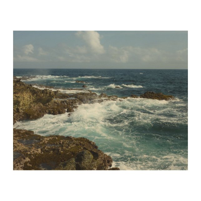 Aruba's Rocky Coast and Blue Ocean Wood Wall Art (Front)