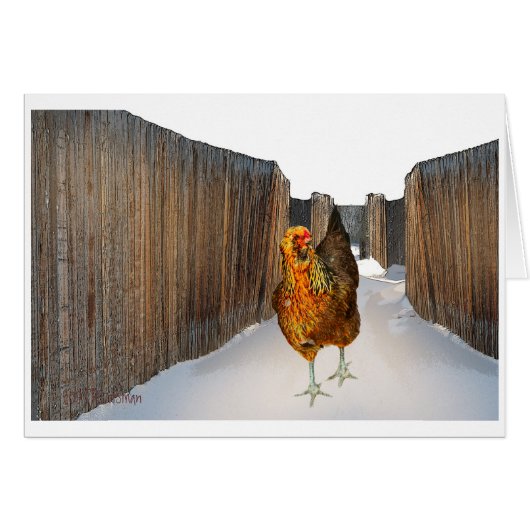 Arucana chicken in snow fence art Card (Front Horizontal)