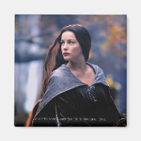 ARWEN™ Looking Back