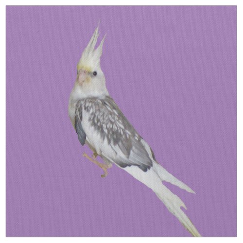 Arwen whiteface cockatiel fabric