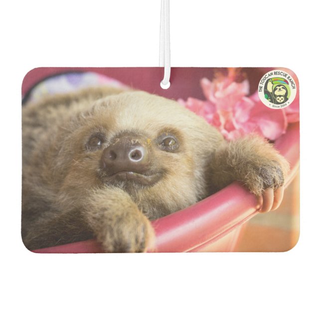 Arya, The Two-Fingered Sloth Air Freshener (Front)
