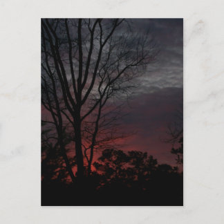 As Dark Approaches Postcard