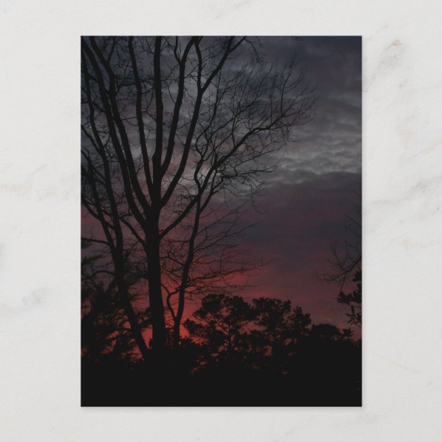 As Dark Approaches Postcard (Front)