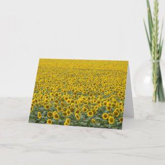 As Far as the Eye Can See Card