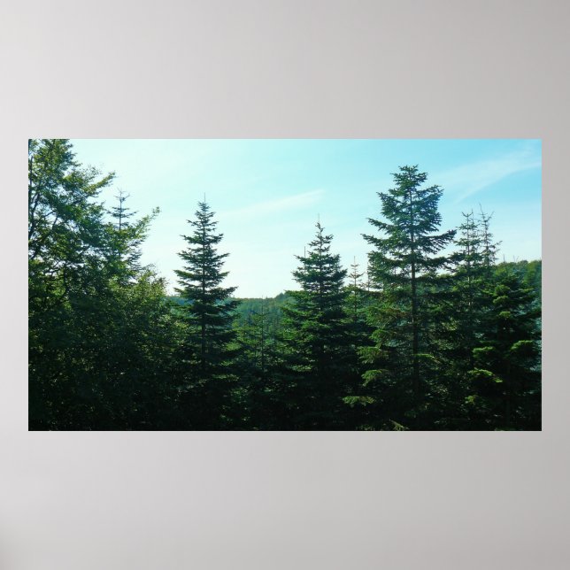 As Far As The Eye Can See Poster (Front)