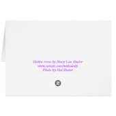 As I Pray Today Cards (Back Horizontal)