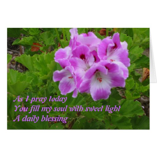 As I Pray Today Cards (Front Horizontal)